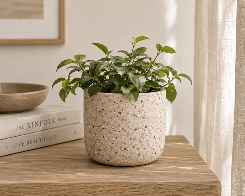 Terrazzo Planter Small