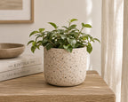 Terrazzo Planter Small
